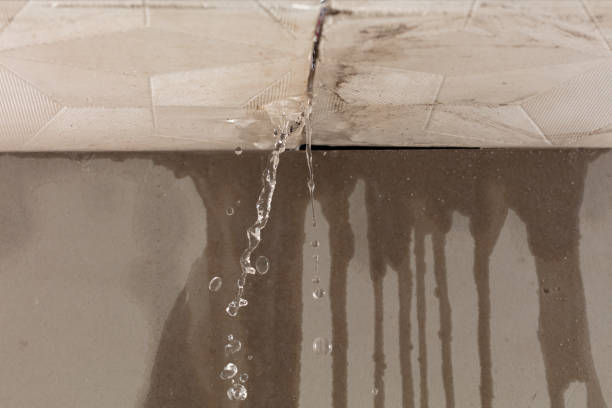 Professional Structural Drying technician working in Queens Village, NY
